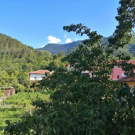 Vendégház Dariya