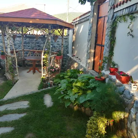 Vendégház Dariya 3*