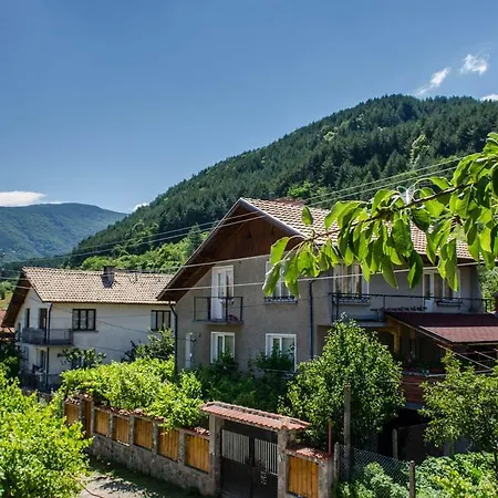 дария