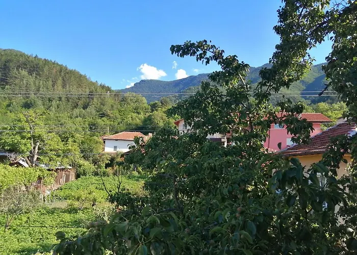 Къща за гости дария